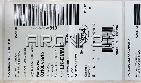 SP-9600 卷裝標簽可變數據噴碼系統