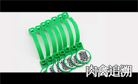 S6 高速可變數據噴印系統Technical Parameters