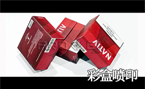S6 高速可變數據噴印系統Technical Parameters