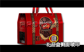 C3/C7 側噴可變數據噴印系統技術參數Technical Parameters