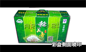 C3/C7 側噴可變數據噴印系統技術參數Technical Parameters